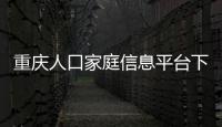 重慶人口家庭信息平臺下載官網（重慶人口家庭信息平臺下載）