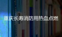 重慶長壽消防用熱血點燃《希望之光》 劉娛原創(chuàng)歌曲獲好評