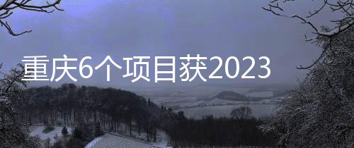 重慶6個項目獲2023年中國人居環境范例獎 數量居全國第一