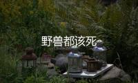 野獸都該死