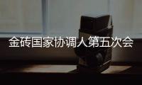金磚國家協調人第五次會議成功舉行