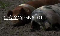 金立金鋼 GN5001L 刷機