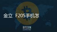 金立  F205手機怎么雙清？