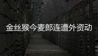 金絲猴今麥郎連遭外資動刀 大量員工被裁