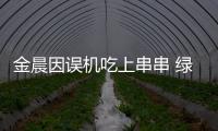 金晨因誤機吃上串串 綠洲曬素顏自拍露欣喜笑容