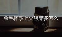 金毛懷孕上火眼屎多怎么辦啊(金毛懷孕眼睛發(fā)紅是怎么回事)