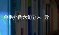 金毛撲倒六旬老人  導致其骨折