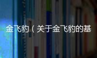 金飛豹（關于金飛豹的基本情況說明介紹）