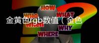 金黃色rgb數值（金色rgb數值）