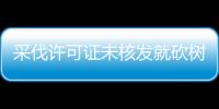 采伐許可證未核發就砍樹 六旬老漢獲有期徒刑3年