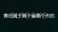 青田屬于哪個(gè)省哪個(gè)市的（青田屬于哪個(gè)市）