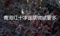 青海紅十字醫(yī)院做試管多少錢？德令哈不孕姐妹這些得知道