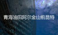 青海油田阿爾金山前昆特依基巖氣藏昆2