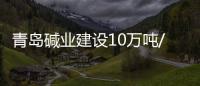 青島堿業(yè)建設(shè)10萬噸/天海水淡化項目,企業(yè)新聞