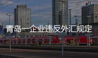 青島一企業(yè)違反外匯規(guī)定獲利591元，被罰1863萬