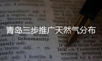 青島三步推廣天然氣分布式能源