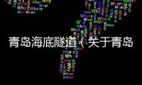 青島海底隧道（關(guān)于青島海底隧道的基本情況說(shuō)明介紹）