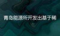 青島能源所開發出基于稀土超富集植物的新型仿生吸附材料