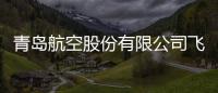 青島航空股份有限公司飛行訓練管理系統采購項目中標結果公示