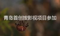 青島首創(chuàng)按影視項目參加工傷保險試點(diǎn)工作