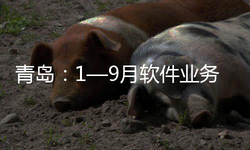 青島：1—9月軟件業務收入同比增長16.3%%