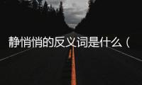 靜悄悄的反義詞是什么（靜的反義詞是什么）