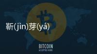 靳(jìn)芽(yá)汾(fén)的底層邏輯是什么?