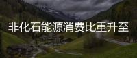 非化石能源消費比重升至15%以上