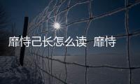 靡恃己長怎么讀  靡恃己長讀音