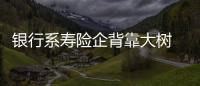 銀行系壽險企背靠大樹 去年8家盈利1家虧損