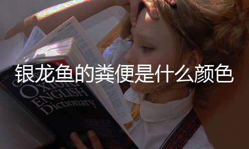 銀龍魚的糞便是什么顏色(銀龍魚是什么顏色為正常)