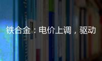 鐵合金：電價上調，驅動轉變