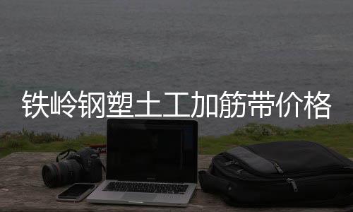 鐵嶺鋼塑土工加筋帶價格