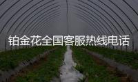 鉑金花全國客服熱線電話服務號碼大全