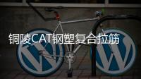 銅陵CAT鋼塑復合拉筋帶廠家采購供應