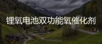 鋰氧電池雙功能氧催化劑取得新進展—新聞—科學網