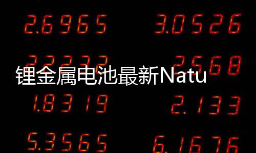 鋰金屬電池最新Nature Energy – 材料牛