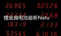 鋰金屬電池最新Nature Energy – 材料牛