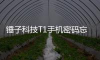 錘子科技T1手機密碼忘記怎么刷機？