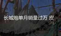 長城炮單月銷量過萬 皮卡5月銷量市占率近50%