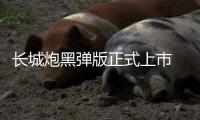 長(zhǎng)城炮黑彈版正式上市 售價(jià)24.88萬(wàn)元