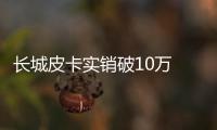 長城皮卡實(shí)銷破10萬 市場占有率將創(chuàng)新高