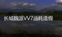 長城魏派VV7油耗造假疑云引發質疑