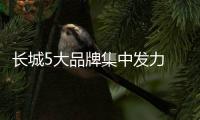 長城5大品牌集中發力 會成下一個大眾集團嗎