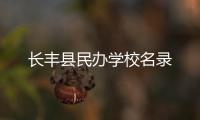 長豐縣民辦學校名錄