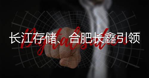 長江存儲(chǔ)、合肥長鑫引領(lǐng)，國產(chǎn)存儲(chǔ)器發(fā)展進(jìn)入快車道