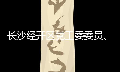 長(zhǎng)沙經(jīng)開區(qū)黨工委委員、管委會(huì)副主任賴?yán)っ饕恍凶咴L調(diào)研三一機(jī)器人