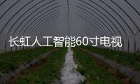 長虹人工智能60寸電視上市 大屏+分體