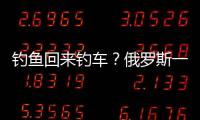 釣魚回來釣車？俄羅斯一海灣冰層融化45輛停在冰面上的車沉沒