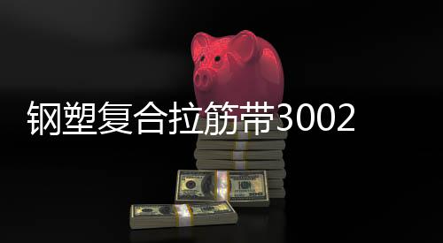 鋼塑復合拉筋帶30020C 南京鋼塑復合拉筋帶廠家采購供應